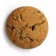 EE4B36B4-B979-4F48-A310-3E4BB24F7B84 کوکی نیویورکی