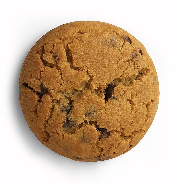 EE4B36B4-B979-4F48-A310-3E4BB24F7B84 کوکی نیویورکی